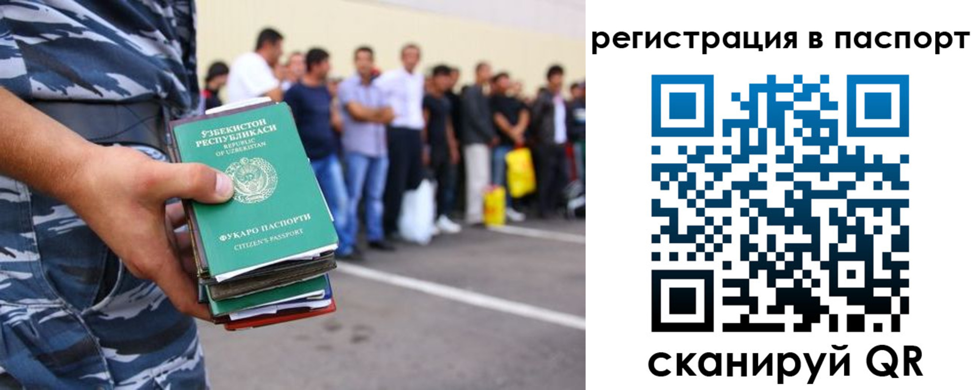 прописка поиск в Иваново